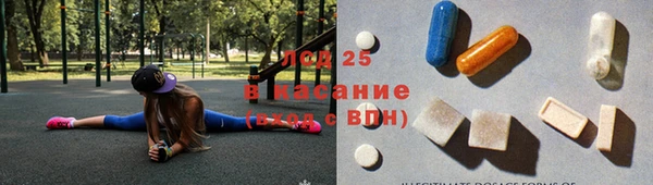 сатива Покачи