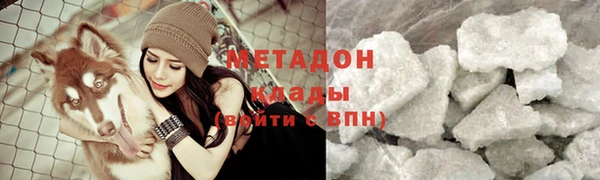 сатива Покачи