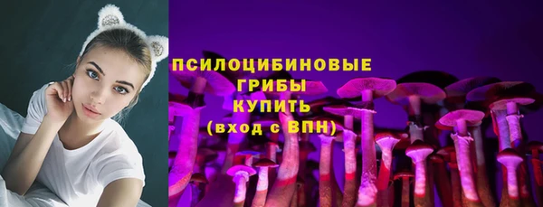 сатива Покачи