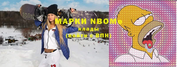 сатива Покачи