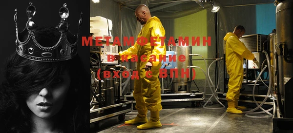 сатива Покачи