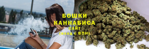 прущие грибы Покров