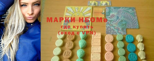 сатива Покачи
