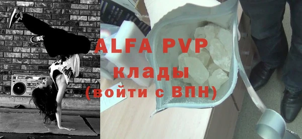 сатива Покачи