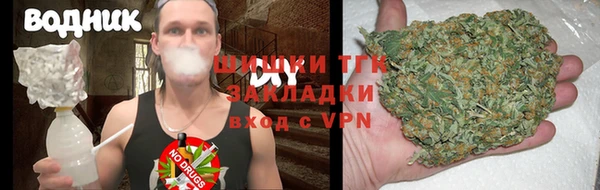 тгк Грязовец