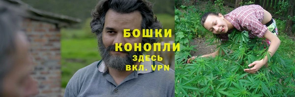 сатива Покачи